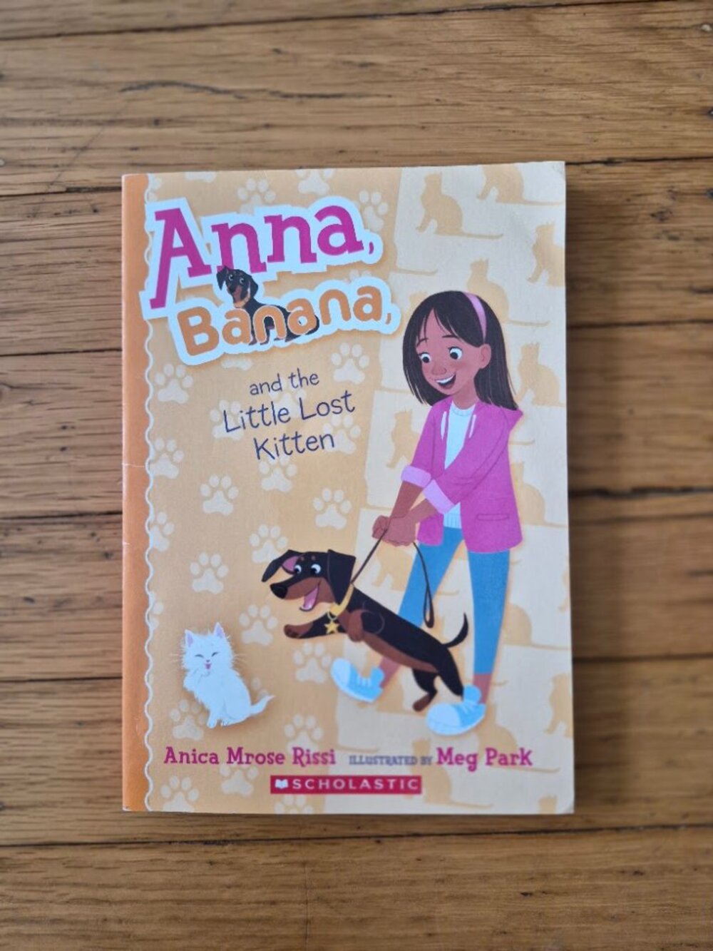Anna Banana and the Little Lost Kitten